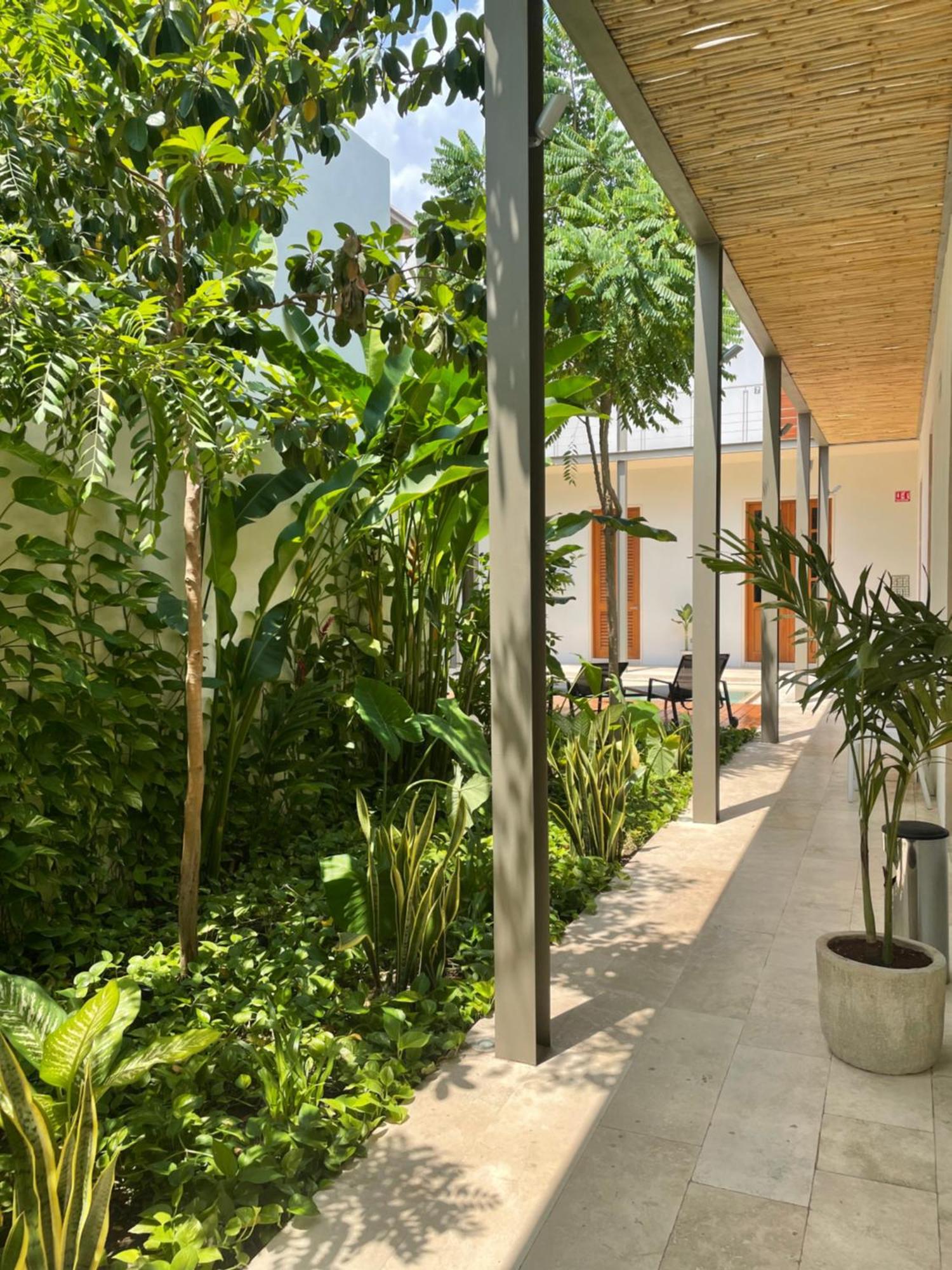 Villa Orquidea Boutique Hotel 梅里达 外观 照片